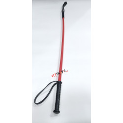 Super Dog Walking And Training Stick