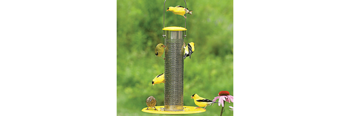 Make Your Interesting Feeders For Birds Your Own..