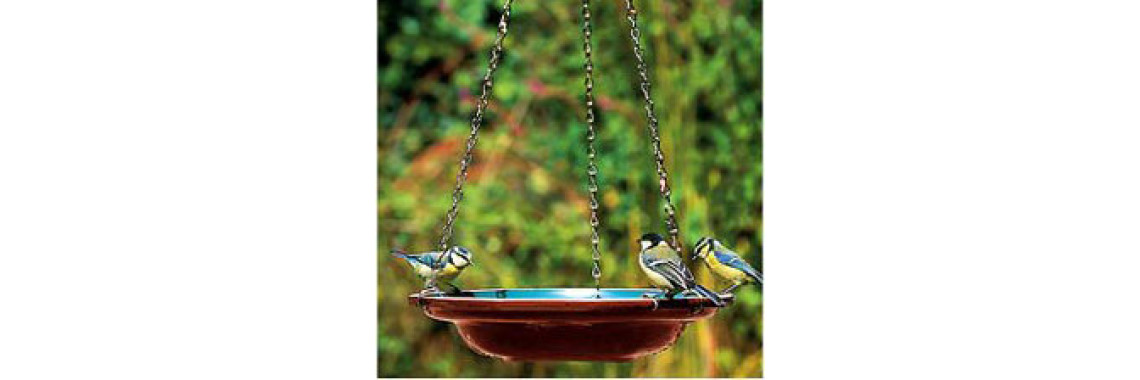 Easy Steps To Clean A Bird Bath