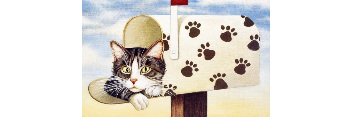 Cat Mailboxes Can Mean So Much