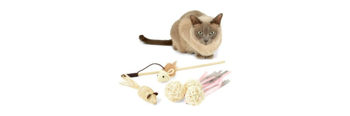 Cheap Cat Playthings You can Find Around Your Home