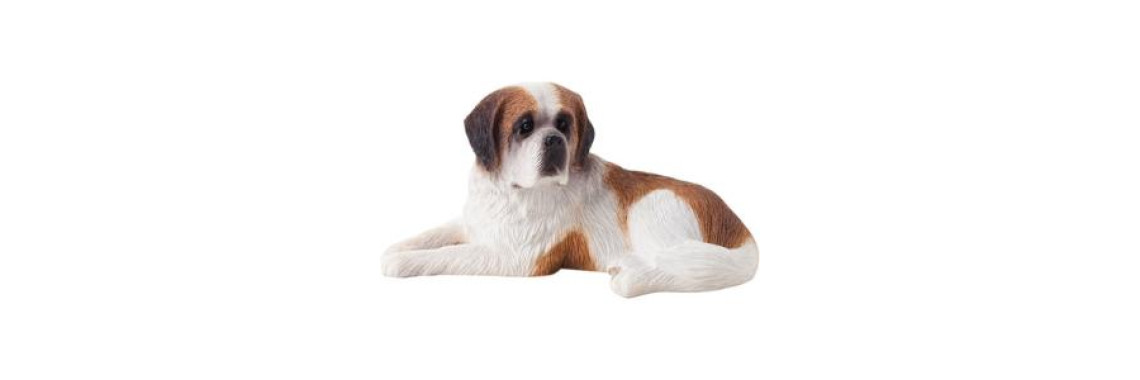 GENERAL HISTORY OF DOGS