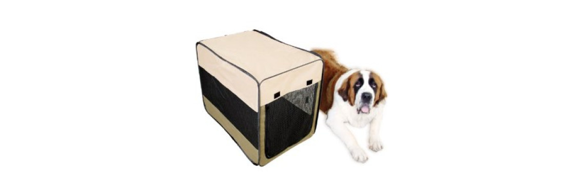 Is your pet ready for dogs boarding kennels