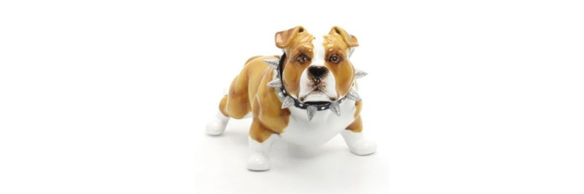 Unfortunate Impressions on Bull Dog Terriers