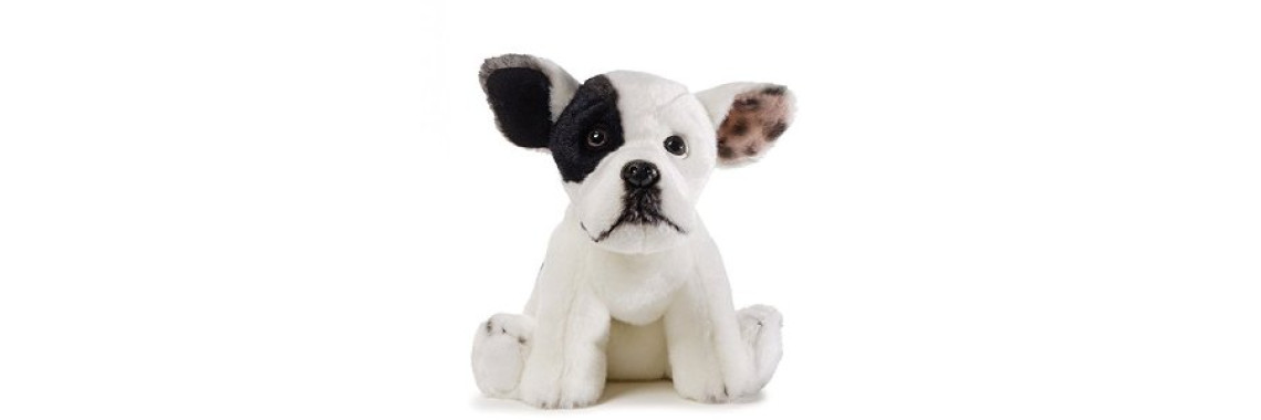 Dog Grooming Helps Promote Good Dog Health