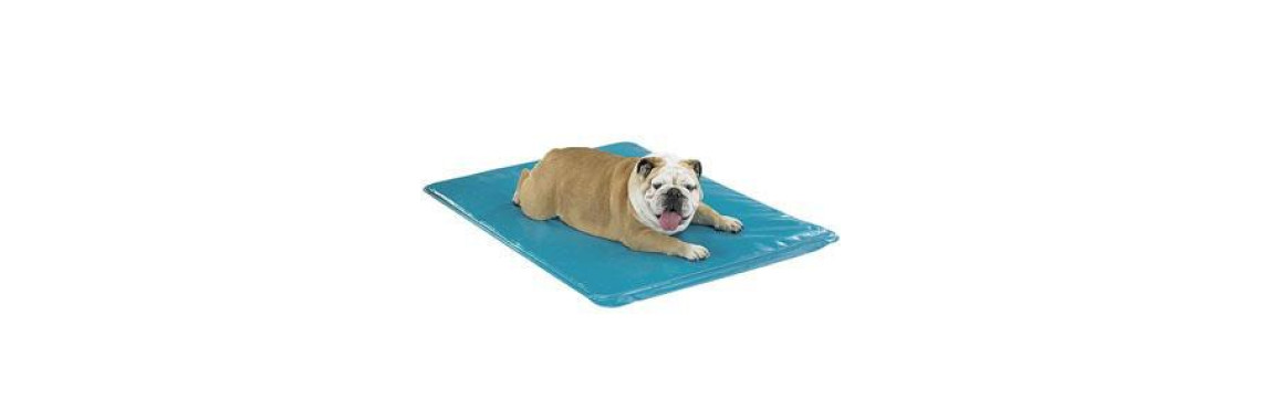 Cooling Pet Beds Therapeutic Solutions For Those Hot Summer Months