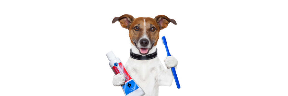 Doggie Hygiene