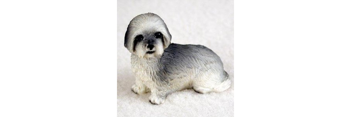 Step By Step Guide To Choosing The Right Dog Breed