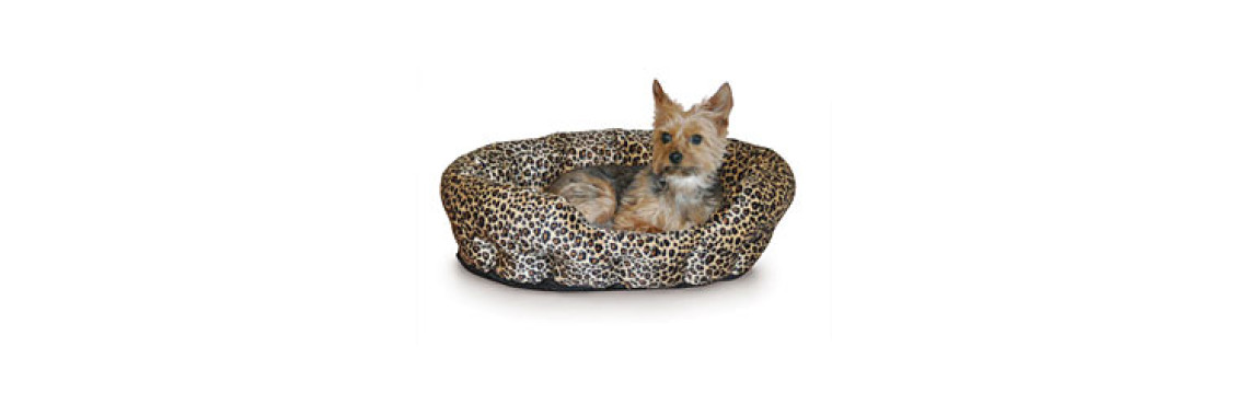 Lets Talk About Your Dog's Comfy Bed..