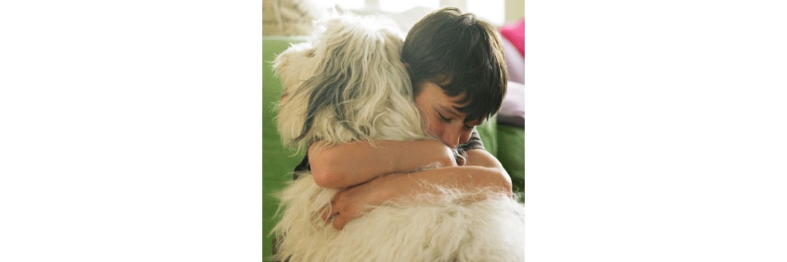 Responsible Pet Ownership For Kids