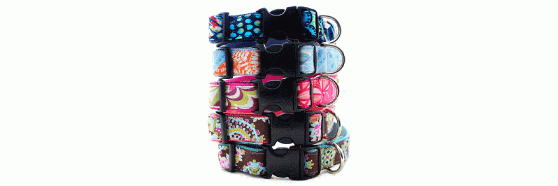 Caring For Your Dogs Neck and Spine Dog Collar Issues