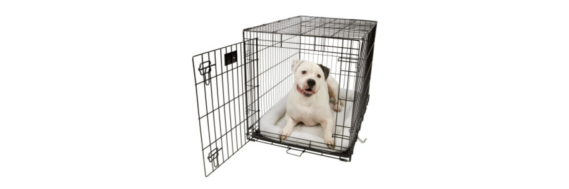 Crate Training is a kindness