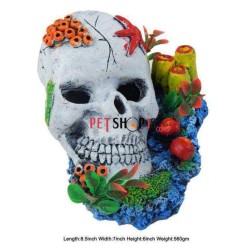 Ancient Skull Aquarium Toy