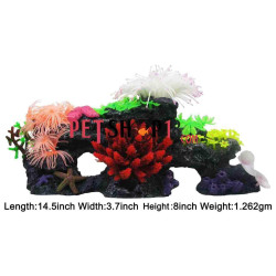 Colorful Sea Ornaments on Rock Large